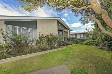 Photo of property in 23 Ardrossan Avenue, Flaxmere, Hastings, 4120