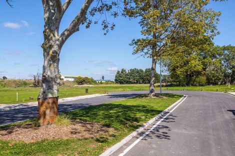 Photo of property in 8 Sir Brian Lochore Avenue, Masterton, 5810