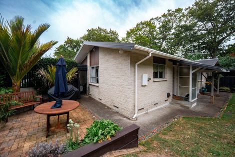 Photo of property in 86b Pembroke Street, Hamilton Lake, Hamilton, 3204