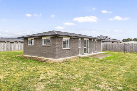 Photo of property in 92 Hinemoa Street, Levin, 5510