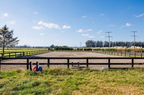 Photo of property in 292 Kairanga Bunnythorpe Road, Bunnythorpe, Palmerston North, 4478