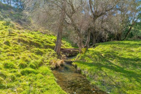 Photo of property in 59 Hawkswood Road, Hawkswood, Cheviot, 7384