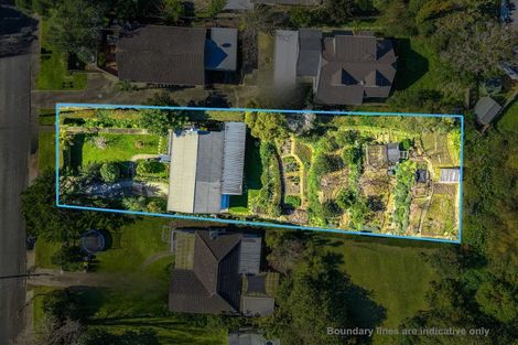 Photo of property in 18 Alexander Avenue, Torbay, Auckland, 0630