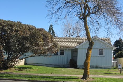 Photo of property in 10 Hinemoa Street, Levin, 5510