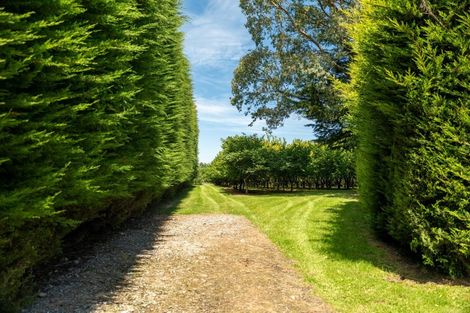 Photo of property in 459 Flora East, Makarewa, Invercargill, 9876