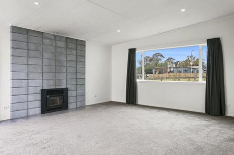 Photo of property in 64 John Norrie Place, Motuoapa, Turangi, 3382