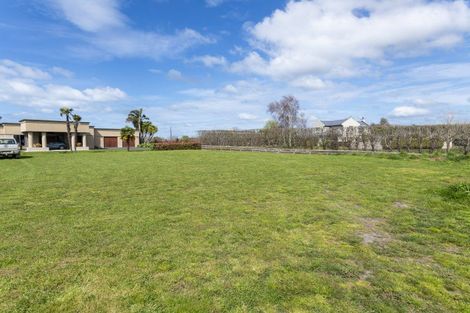 Photo of property in 10 Allan Avenue, Makauri, 4071