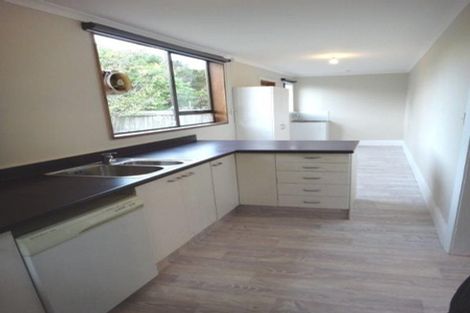 Photo of property in 15 Newcastle Street, Phillipstown, Christchurch, 8011
