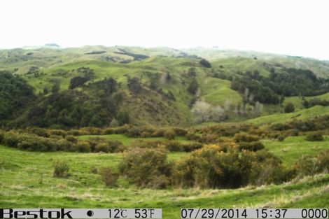 Photo of property in 41 Stewart Street, Marton, 4710