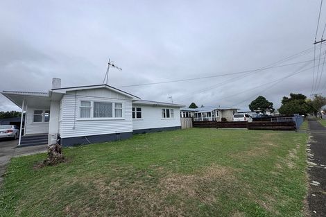 Photo of property in 22 Ferguson Street, Levin, 5510