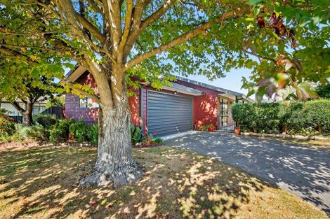 Photo of property in 601 Beech Road, Akina, Hastings, 4122