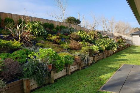 Photo of property in 6 Bluebell Place, Te Kauwhata, 3710