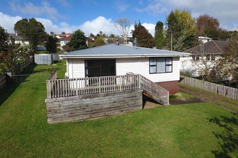 Photo of property in 14 Domain Drive, Otorohanga, 3900