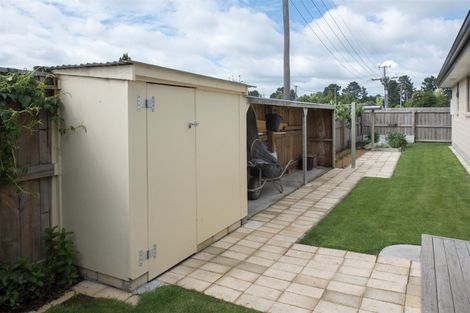 Photo of property in 118 Bowen Street, Rakaia, 7710