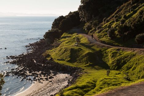 Photo of property in 16 Adams Avenue, Mount Maunganui, 3116