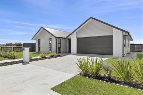 Photo of property in 30 Whakahaumako Road, Leamington, 3495