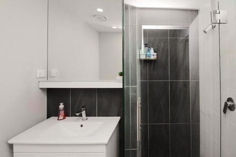Photo of property in Vsp South, 203/168u Victoria Street, Te Aro, Wellington, 6011