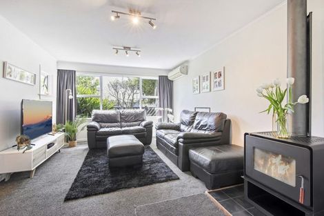 Photo of property in 117 Joy Street, Shirley, Christchurch, 8061