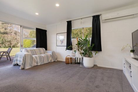 Photo of property in 213 Horahora Road, Piarere, Tirau, 3484