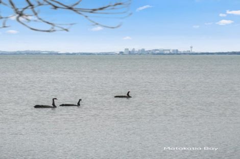 Photo of property in 1/5 Zita Avenue, Matakatia, Whangaparaoa, 0930