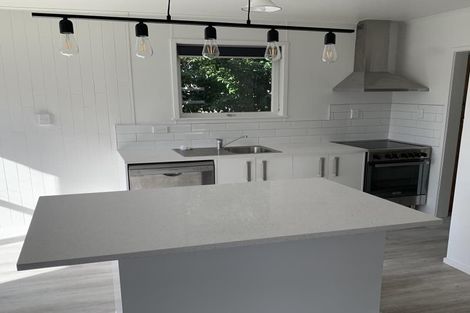 Photo of property in 55 Larnoch Road, Henderson, Auckland, 0610