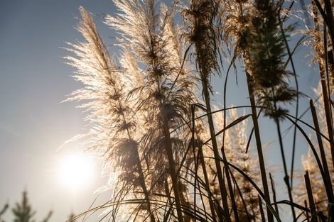 Photo of property in 150 Makara Road, Makara, Karori, 6972