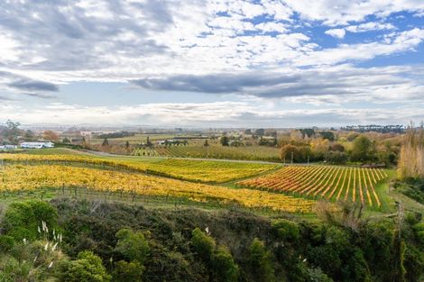Photo of property in 56 River Road, Havelock North, 4294