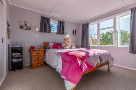 Photo of property in 164 Rotohiwi Road, Flemington, Waipukurau, 4282