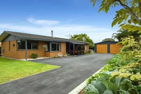 Photo of property in 52 Ascot Road, Mount Maunganui, 3116