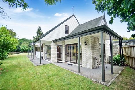 Photo of property in 19 Randell Place, Te Puke, 3119