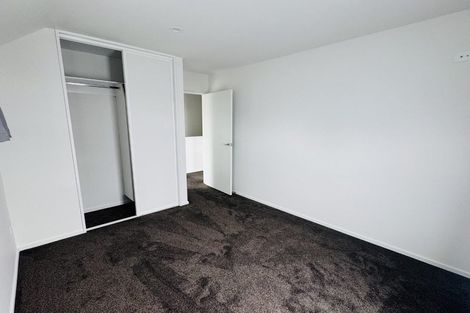 Photo of property in 65 Thackeray Place, Waltham, Christchurch, 8023