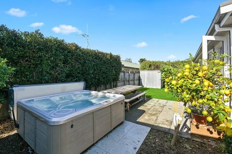 Photo of property in 124 Nixon Street, Hamilton East, Hamilton, 3216