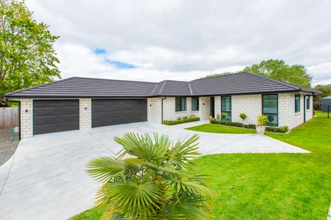Photo of property in 24 Kawariki Drive, Baverstock, Hamilton, 3200