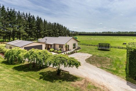 Photo of property in 49 Riverlea Downs, Broadlands, Reporoa, 3081