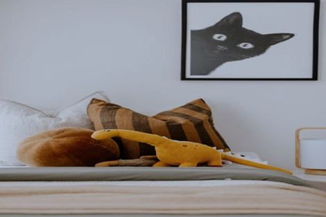 Photo of property in 37 Corunna Road, Milford, Auckland, 0620