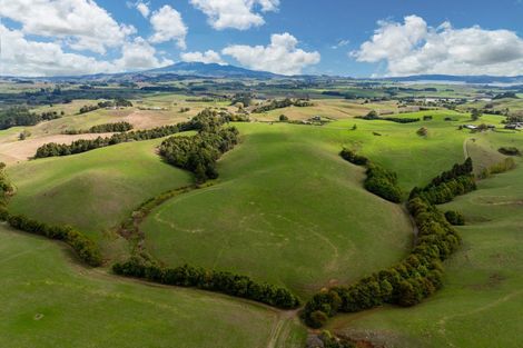 Photo of property in 201c Checkley Road, Raglan, 3295