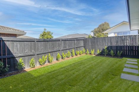 Photo of property in 29b Carysfort Street, Mount Maunganui, 3116