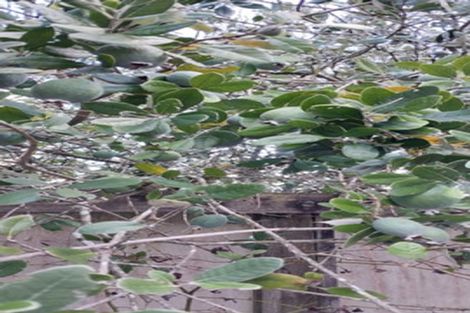 Photo of property in 20 Segedin Place, Glenfield, Auckland, 0629