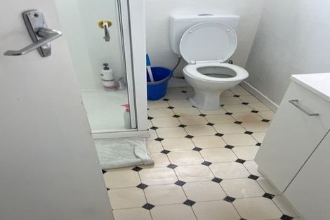 Photo of property in 154 Hanson Street, Newtown, Wellington, 6021