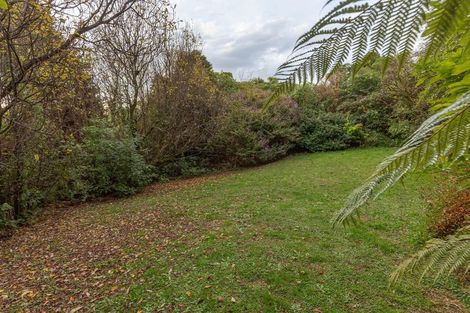 Photo of property in 40 Carroll Street, Runanga, 7803
