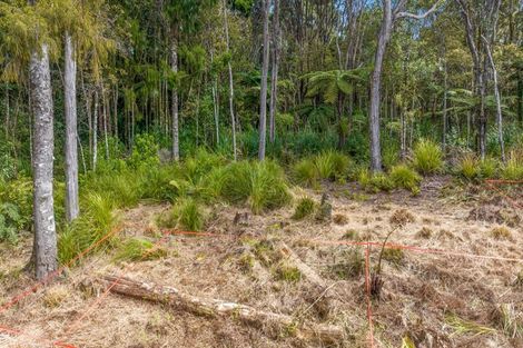 Photo of property in 252 Piha Road, Piha, 0772