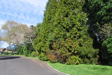Photo of property in 16 Shearman Grove, Tauranga South, Tauranga, 3112