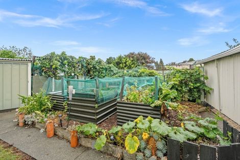Photo of property in 11 Thompson Place, Tikipunga, Whangarei, 0112