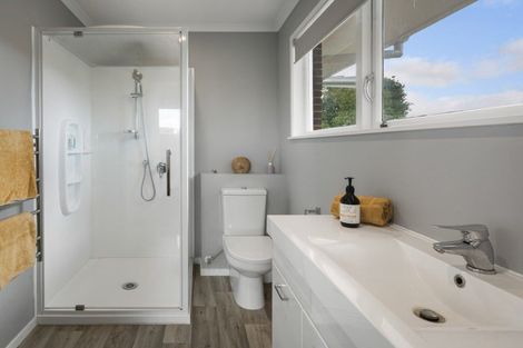 Photo of property in 458 Trig Road, Waihi, 3681