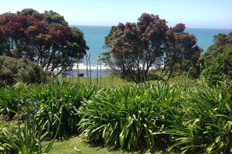 Photo of property in 25 Motukari Place, Onaero, Waitara, 4383