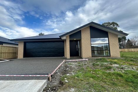 Photo of property in 24 Derbridge Street, Woodend, 7610