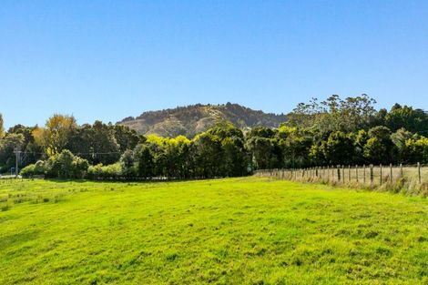 Photo of property in 704 Whangaripo Valley Road, Whangaripo, Wellsford, 0972