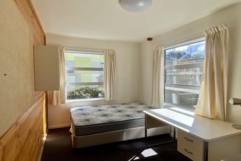 Photo of property in Drummond Street Flats, 19u1 Drummond Street, Mount Cook, Wellington, 6021