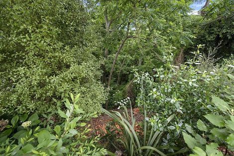 Photo of property in 51 Rimu Street, Maeroa, Hamilton, 3200