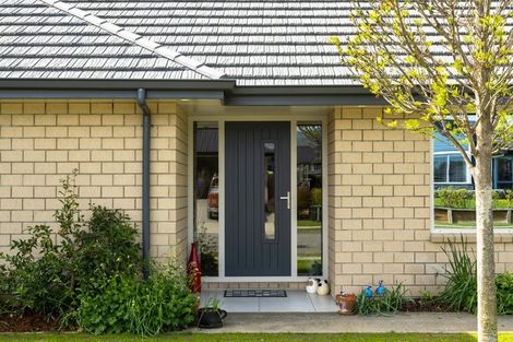 Photo of property in 37 Maeburn Street, Witherlea, Blenheim, 7201